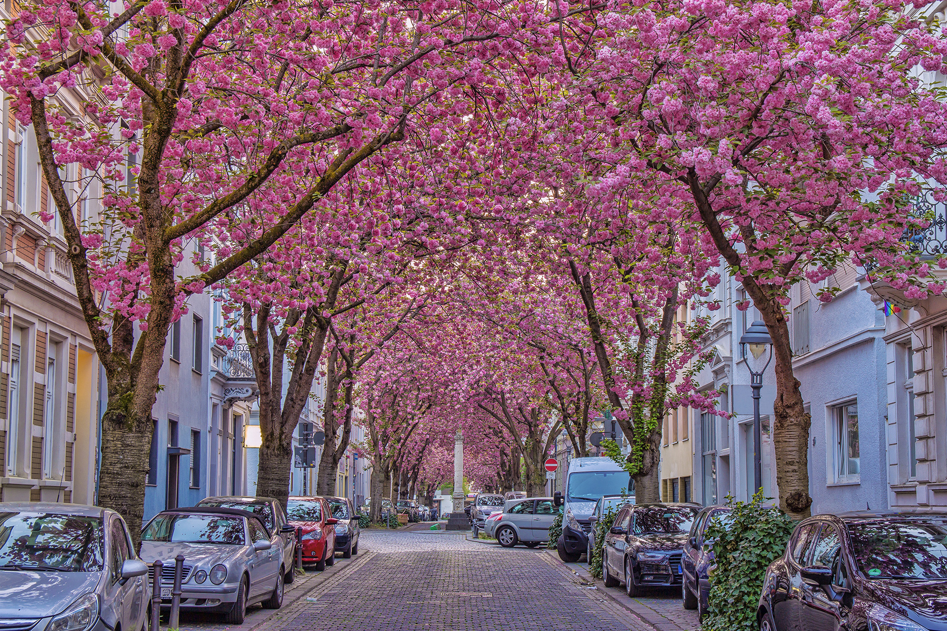 Kunstbau Immobilien Regionen und Umgebung Bonn Nordstadt